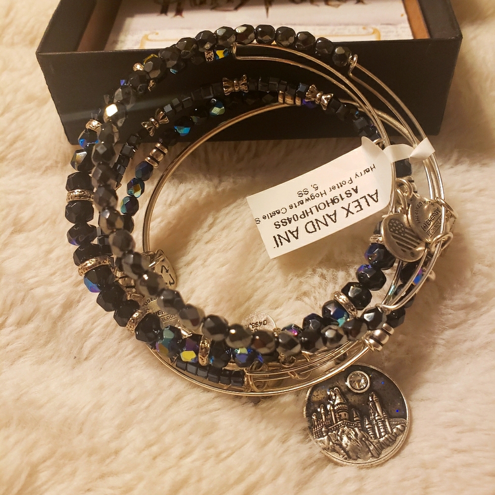 ALEX And ANI Harry Potter Hogwarts Castle set